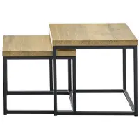 Profijt Meubel Bijzettafel Salernes 50 en 44 cm vierkant