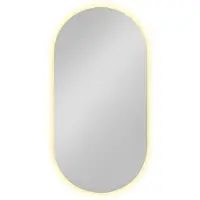 Ben Clip spiegel ovaal met verlichting en anti-condens 40x80 cm