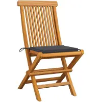 The Living Store Inklapbare Tuinstoelen - Teakhout - Set van 2 - Antraciete kussens