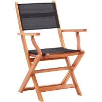 The Living Store Inklapbare Tuinstoel - Set van 2 - Hout - 54x61x89 cm - Zwart en Lichthout