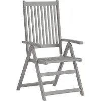 The Living Store Tuinstoelenset - Acaciahout - Greywash - 57 x 69 x 110 cm - Verstelbaar