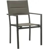 The Living Store Armstoel Tuin Grijs/Antraciet - 54x63x90 cm - Lichtgewicht - Stapelbaar