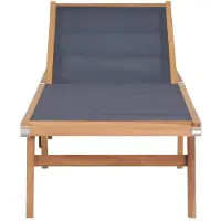 The Living Store Ligbed - Teakhout - Verstelbare rugleuning - 206x60x35 cm