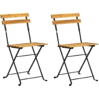 The Living Store De Living Store: Klapbare tuinstoelen, 2 stuks. Staal en massief acaciahout