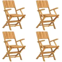 The Living Store : Tuinstoelen, 4 stuks, inklapbaar, 55x61x90 cm, massief teakhout