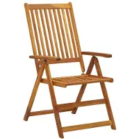 The Living Store Houten Tuinstoelen Vintage - Massief Acaciahout - 57 x 69 x 111 cm - Inklapbaar - Set van 8