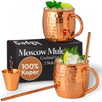 GADGY Moscow Mule Bekers Set - 100% Koper - Cocktailset : 2 Cocktailglazen, 2 Rietjes & 1 Barmaatje
