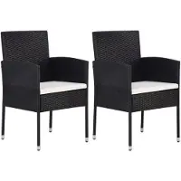 vidaXL Tuinstoelen 2 st poly rattan zwart