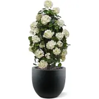 Maxifleur Kunstplanten Geranium pyramide 110cm kunstplant UV Creme