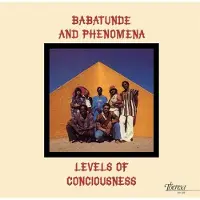 Coast2Coast Babatunde & Phenomena - Levels Of Conciousness (LP) (Limited Edition)