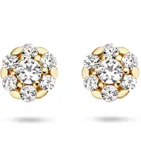 Blush 14 karaats geelgouden oorsieraden met zirkonia 7241yzi
