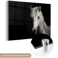 MuchoWow Glasschilderij 180x120 cm - Schilderij acrylglas - Paard - Portret - Zwart - Wit - Dier - Foto op glas - Schilderijen
