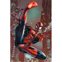 Pyramid Poster Spider Man Web Sling 61x91,5cm