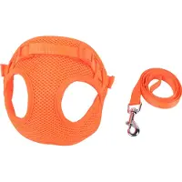Nobleza Hondentuig met Riem - Y-tuig - Instaptuig - Hondenharnas - Verstelbaar Mesh - Maat S - Oranje