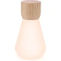 Gingko Mini Pentagon Bureaulamp - LED - Licht Essenhout