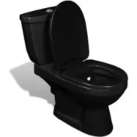 vidaXL Toilet met stortbak zwart online kopen