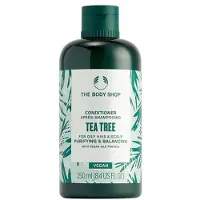 The Body Shop Conditioner, 250 ml