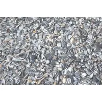 Tweetfeed Zonnebloempitten Gestreept 750 gram - Vogelvoer