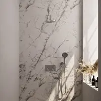 Brauer Edition Inbouw Doucheset - Ronde Handdouche - 20cm Hoofdouche - Gebogen Wandarm - Wandsteun - Geborsteld Rvs PVD - Messing - Kranen, - Kranen, Douchekranen, Douchesets, Inbouw douchesets