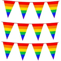 Boland 3x Stuks Boland PE vlaggenlijn - 8m - Regenboog - Universeel Thema - Vlaggenlijnen