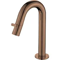 Best design Toiletkraan dijon 1-draaiknop gebogen 21 cm pvd glans brons