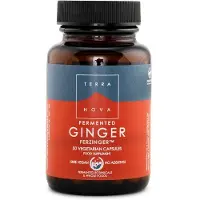 Terranova Fermented ginger 250 mg 50 vcaps