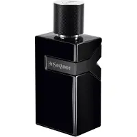 Yves Saint Laurent YSL Y Le Parfum 100 ml Spray