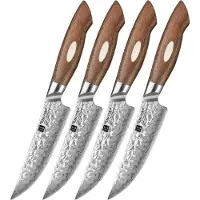 Xinzuo Steakmessenset van 67 laags AUS10 Damascus staal - Set van 4 steakmessen - Uniek damascus patroon - incl. giftbox / bewaardoos - Handvat van Walnoothout - B46W Series