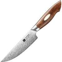Xinzuo Steakmes van 110-laags Damascus staal - Ongeëvenaarde scherpte en Uniek design - mooie giftbox / bewaardoos - handvat van Woestijnijzerhout - B46D Series