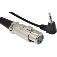 Dolphix XLR (v) - 3,5mm Jack (m) haaks audiokabel - 0,30 meter