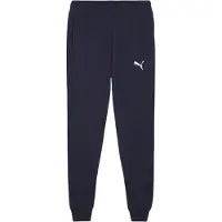 Puma Sportbroek 'Team Goal' navy / wit