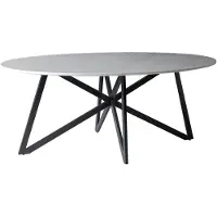 LivingFurn eetkamertafel dt- marble oval web white 200cm marmer / gecoat staal