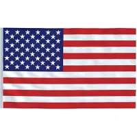 vidaXL Vlag Verenigde Staten 90x150 cm