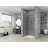 Van Rijn ST08 douchedeur met helder glas 85-95cm RVS