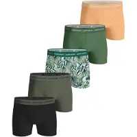 Björn Borg Heren boxershort 5p cotton stretch