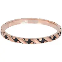 Ixxxi Vulring Dream Zilver