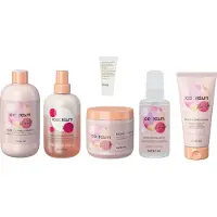 Inebrya Ice Cream Keratin Restructuring Shampoo 300ml + Bi-Phase Conditioner 200ML + Velvet Keratin Cream + Restructuring Serum 100ML + Mask 500ML + WILLEKEURIG Travel Size