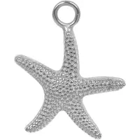 Ixxxi Charm Sea Star Zilver
