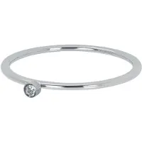 Ixxxi Vulring 1 mm Zirconia 1 Stone Crystal Zilver