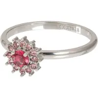 Ixxxi Lucia Small Fuchsia - - Vulring 2 mm - Zilver