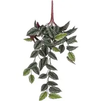 Mica Decorations Begonia Rex Hangend Groen - 58 x 20 x 14 cm