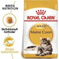 Royal Canin Droogvoer kat maine coon adult 2 kg Royal Canin online kopen