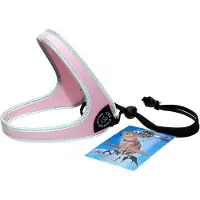 Tre-Ponti Liberta Reflectie