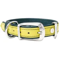 My Family Firenze Hondenhalsband