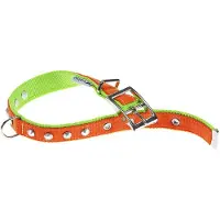 Ferplast Dual 15 Mm 35 Cm Hondenhalsband