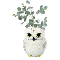 Half Moon Bay Harry Potter Hedwig Bloempot Muurbevestiging