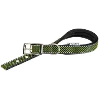 Ferplast Daytona Deluxe 20 Mm 43 Cm Dog Collar Groen