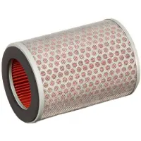 Champion Luchtfilter CAF0602