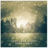 Cd Fake Lights