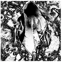 Cd Antagonist - Haunt Me As I Roam